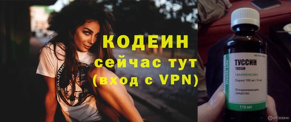 хмурый Белокуриха