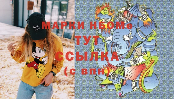 хмурый Белокуриха