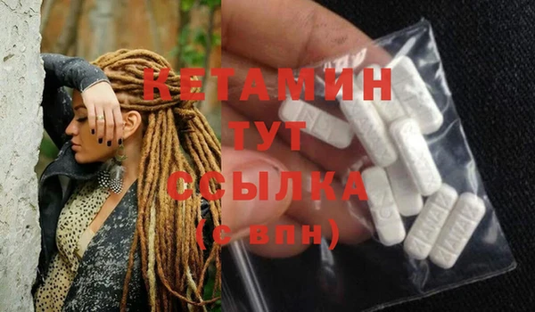 хмурый Белокуриха