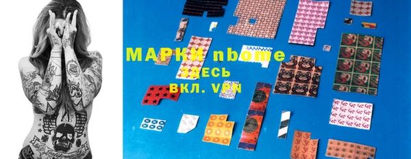 хмурый Белокуриха